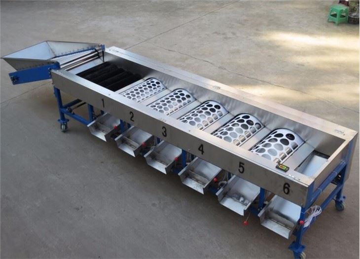 Kiwi Grading Machine