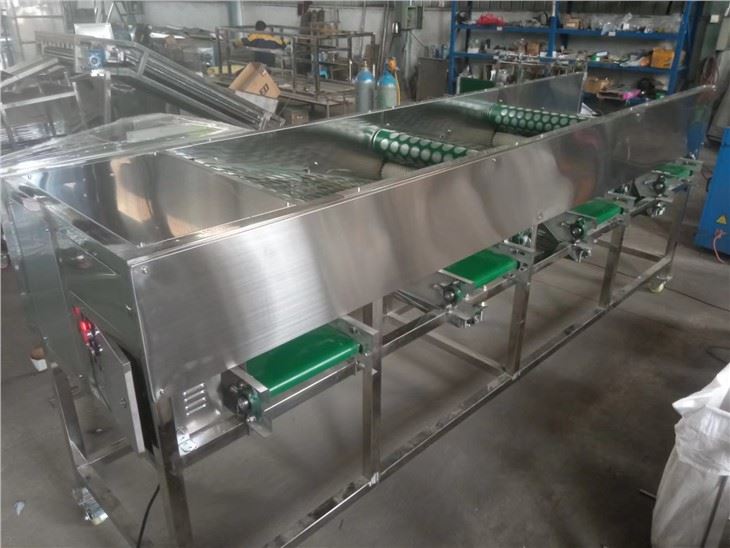 Onion Grading Machine