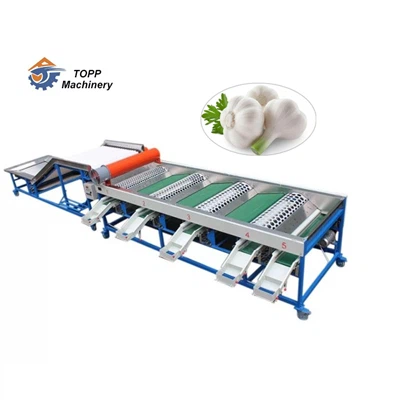 ガーリックオニオンサイズ選別機