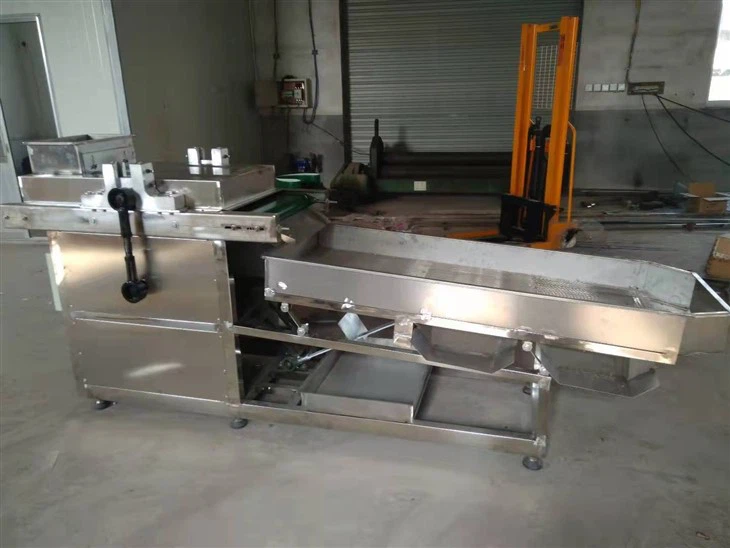 Nut Cutting Chopping Machine best